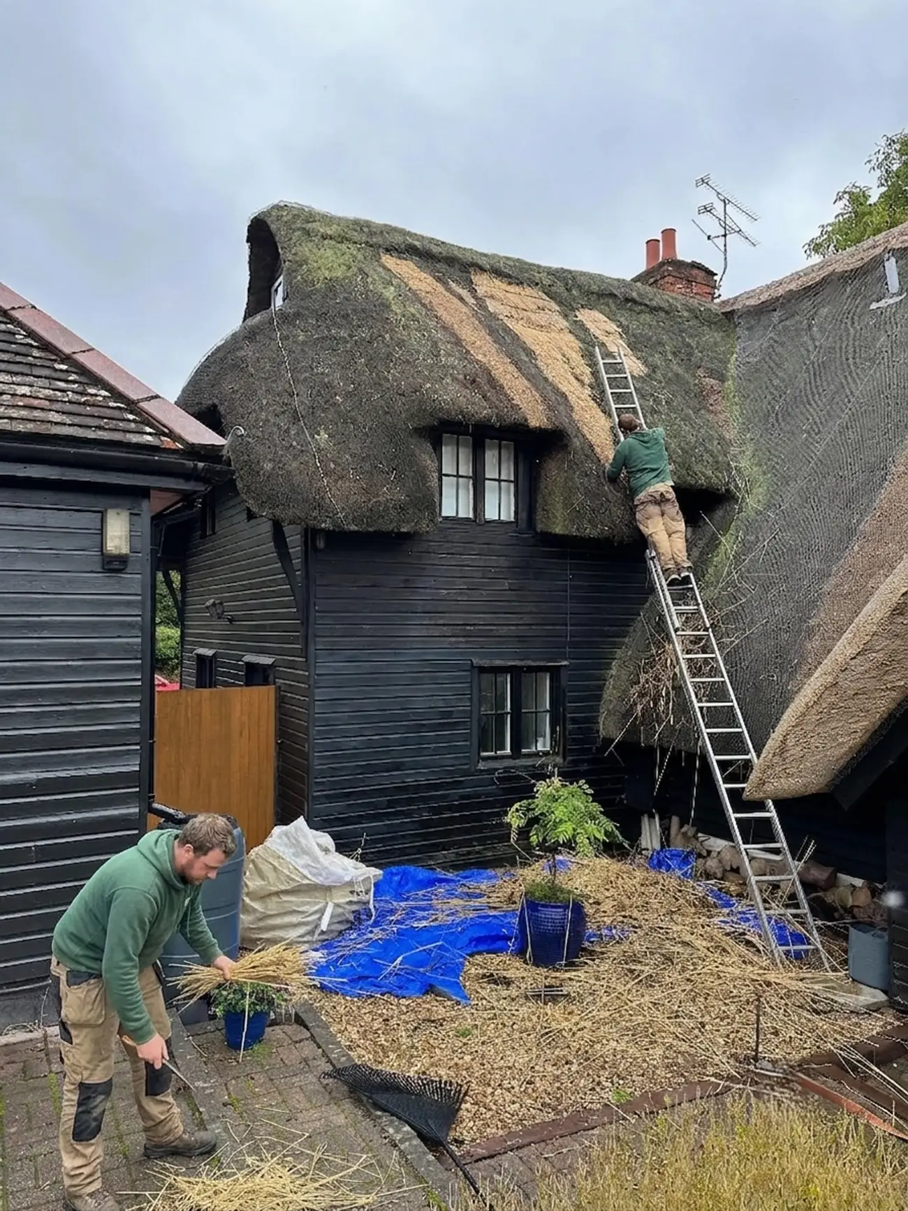 Two thatchers carrying out a large-scale thatch repair on a home in Waterkloof