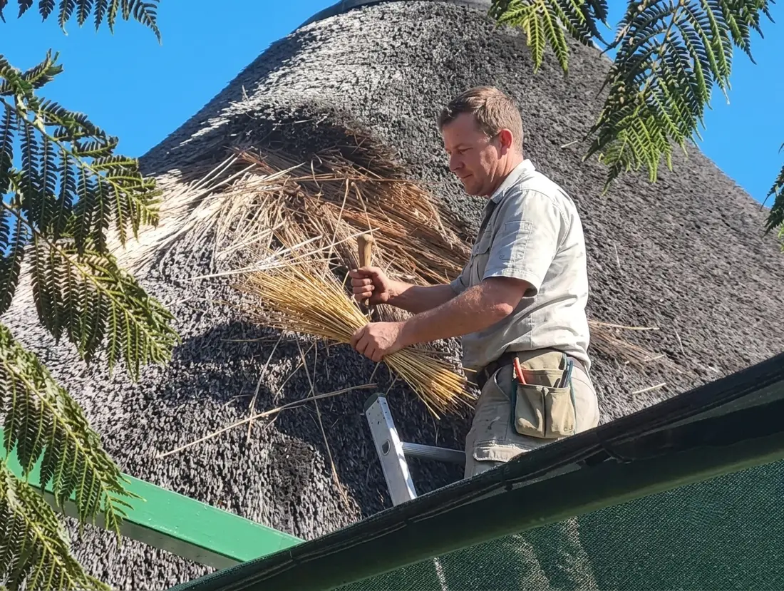 Thatcher working on the ridge apex of a conical thatch roof